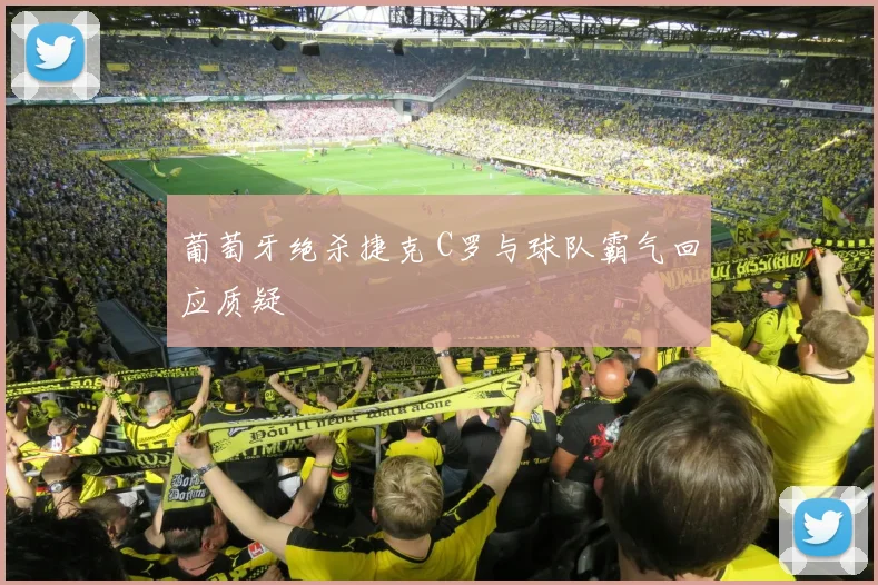 葡萄牙绝杀捷克 C罗与球队霸气回应质疑