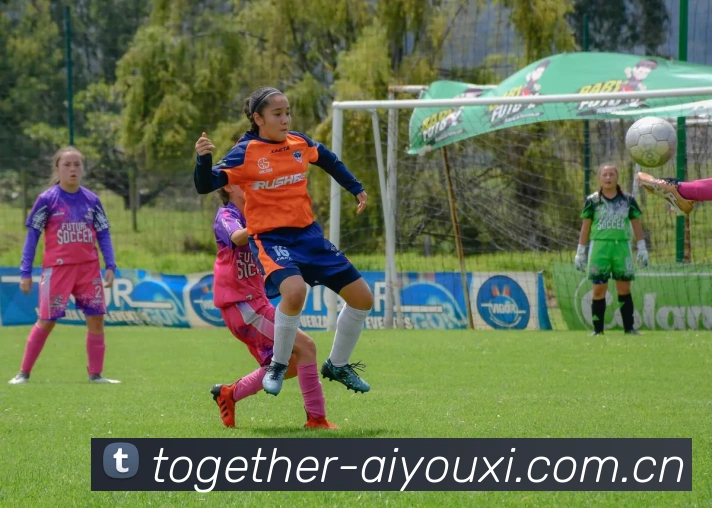 爱游戏体育品牌故事